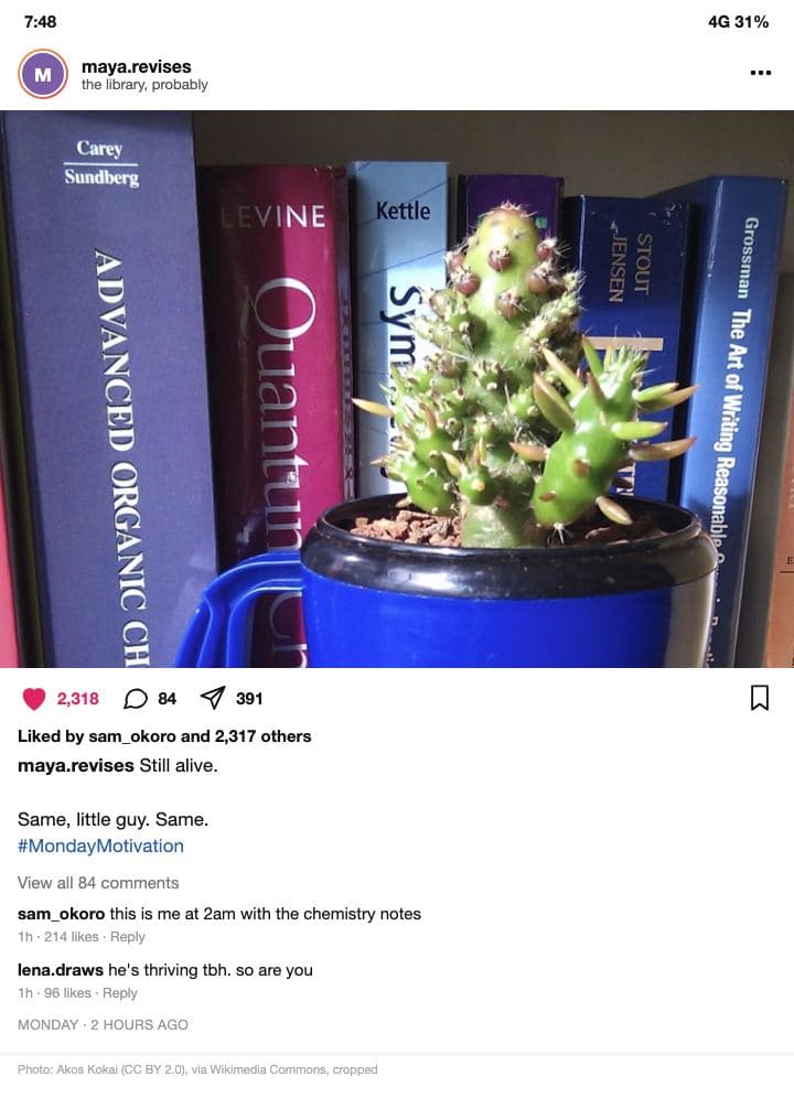 A phone screenshot of a social media post by ‘maya.revises’ (location line: ‘the library, probably’). The photo: a tiny spiky green cactus planted in a blue mug, squeezed on a shelf in front of thick chemistry textbooks. Below: 2,318 likes, 84 comments, 391 shares. The caption: ‘Still alive.’ then, after a blank line, ‘Same, little guy. Same.’ and the hashtag ‘#MondayMotivation’. Two comments: ‘this is me at 2am with the chemistry notes’ and ‘he's thriving tbh. so are you’. Time stamp: ‘Monday · 2 hours ago’.